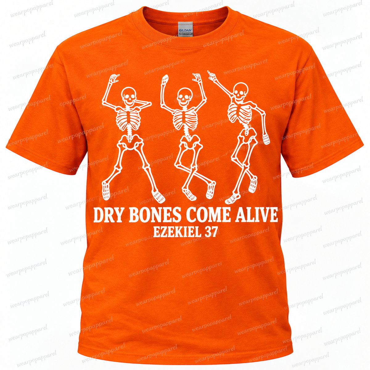 Dry Bones Come Alive “Ezekiel 37”